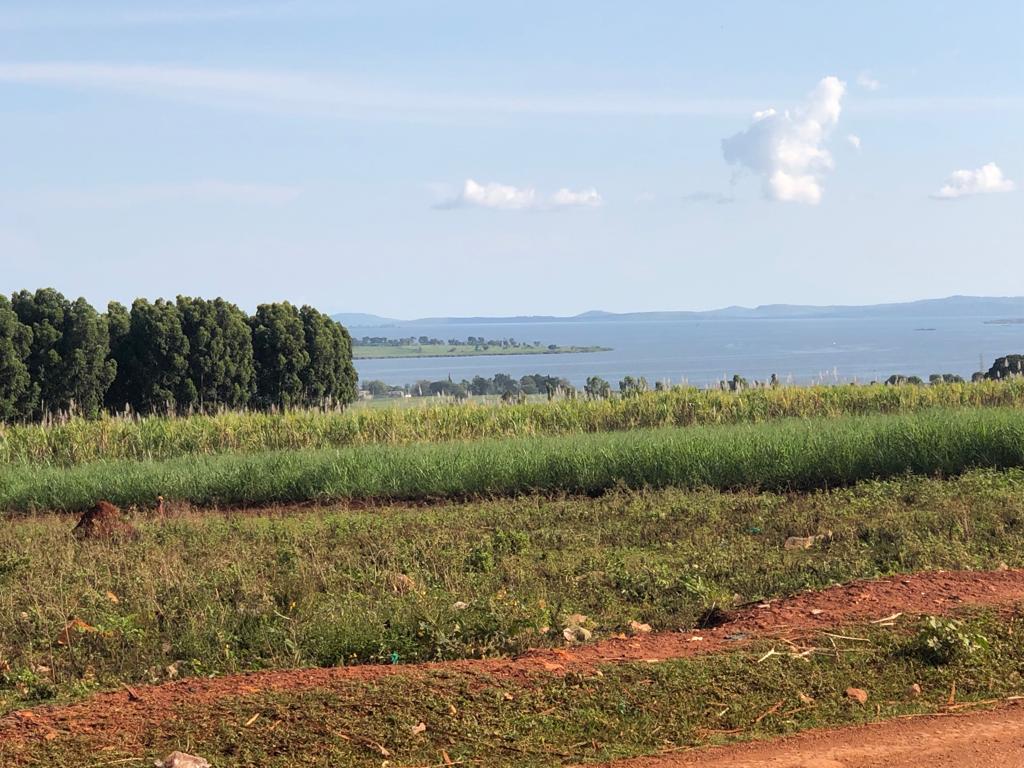 Kakira; The Sugar Town of Jinja District in Eastern Uganda